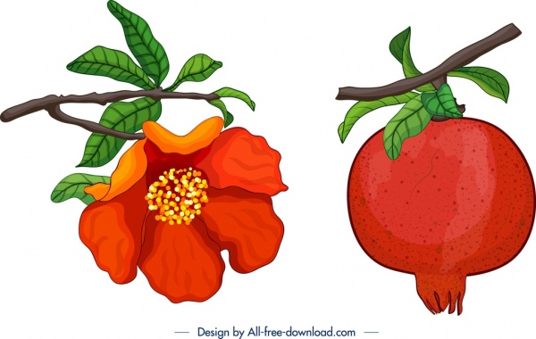 ícones de romã frutas flor folha ramo decoração