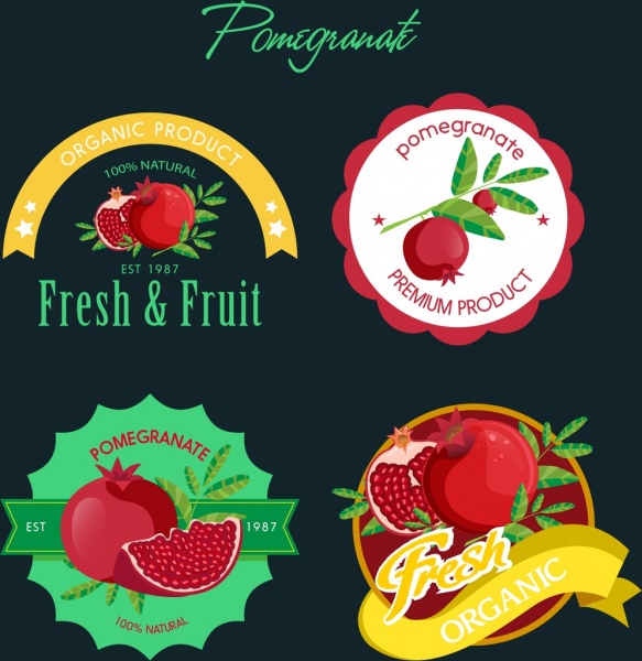 Granatapfel-Logos, die verschiedenen farbigen Formen Isolierung