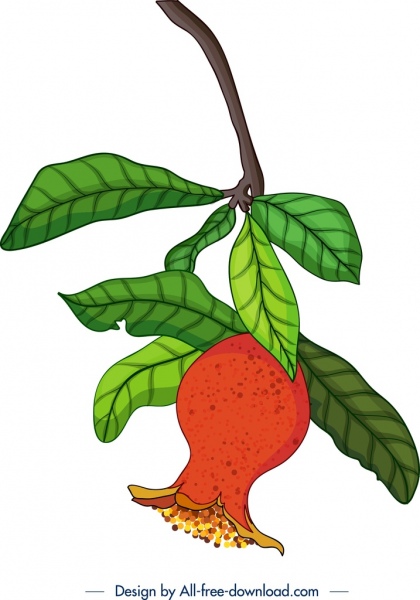 ภาพวาดทับทิมสีสันสดใสออกแบบไอคอนใบผลไม้