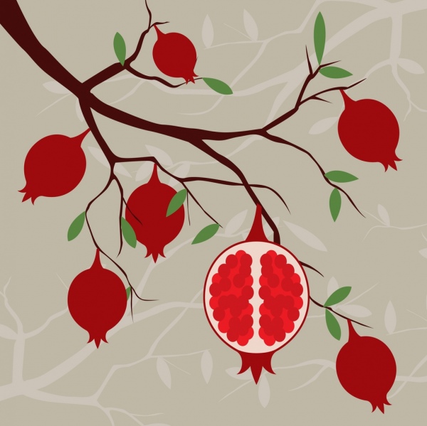 dekorasi cabang buah merah latar belakang pohon delima
