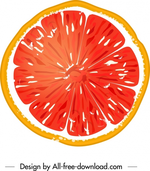 ícone de fruta pomelo colorido plano closeup fatiado esboço