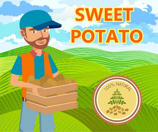 Potato anuncio macho Farmer Field iconos sello redondo
