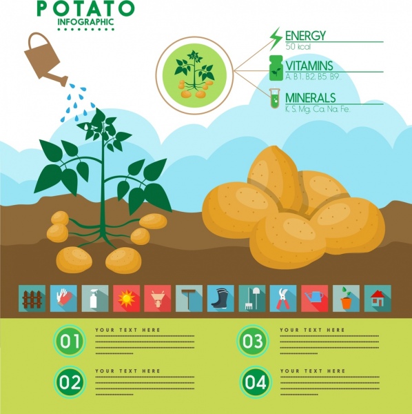 Kartoffel-Infografik-Obstbaum Wasser bunte Design Ikonen