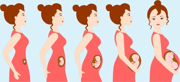 personaje de dibujos animados iconos de pasos de gestación de embarazo fondo mujer