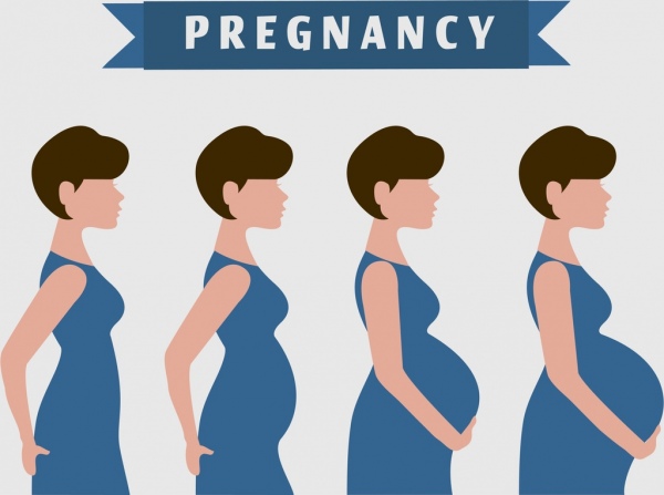 Iconos de bandera de diseño mujer embarazo