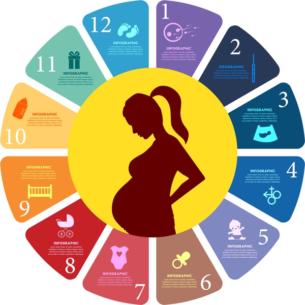 Schwangerschaft-Konzeption mit farbigen Infografik Stil