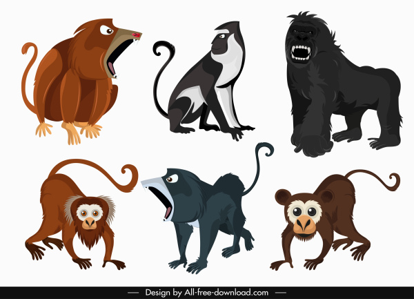 靈長類動物圖示彩色卡通素描