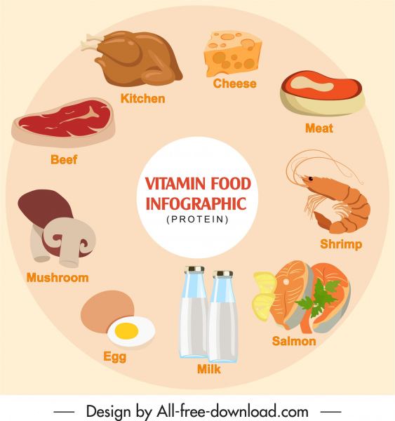 proteína alimentos infografía banner coloreado diseño de círculo clásico