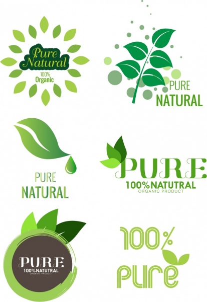 Producto puro plantilla de Logotipo Diseño de hoja verde