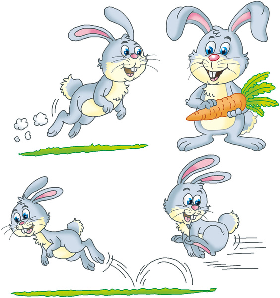 กระต่าย #11