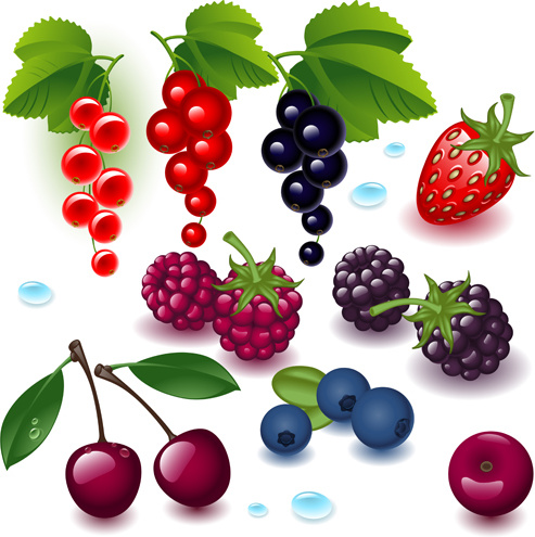 Realistic Fruits And Berry Design Vector