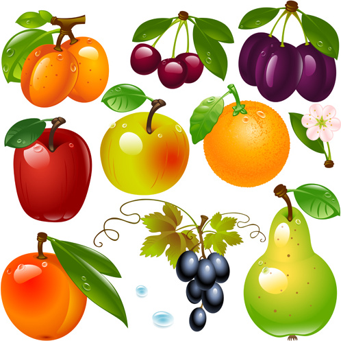 buah-buahan yang realistis dan berry desain vektor