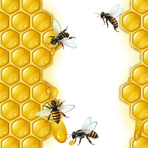 realistis madu dan lebah vektor grafis