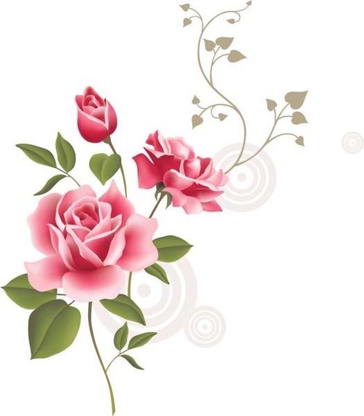 Hoa hồng thực tế mùa xuân hoa vector
