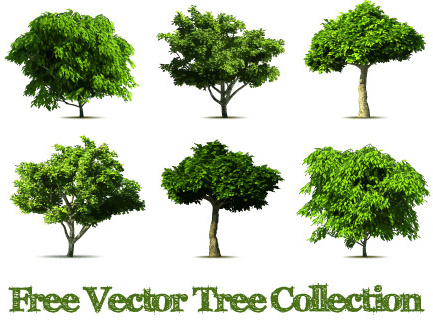 realistis pohon vektor desain grafis