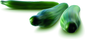 Realistic Vegetables Vector Illustration