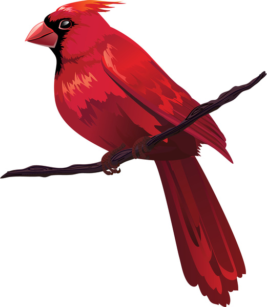Красная птица на ветке дерева