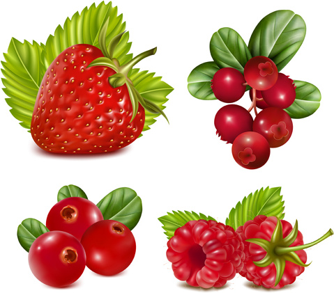 conjunto de vetores de frutas vermelhas
