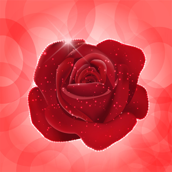 rote rose realistische Vektor-illustration