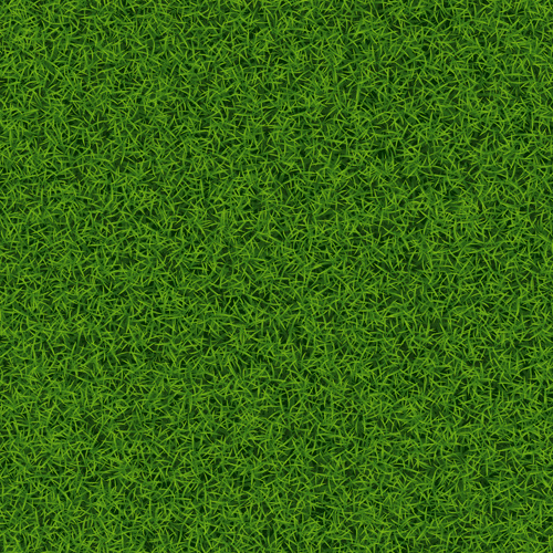 Refreshing Green Grass Background Vector