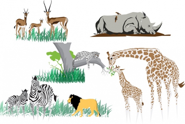coleção de ícones de girafa de Pantera renas rinoceronte de zebra