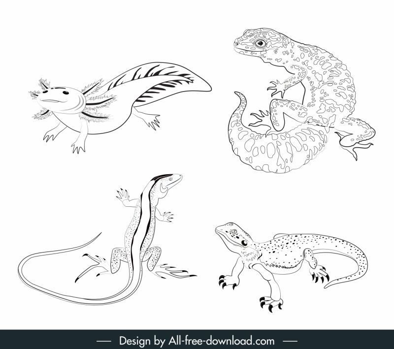 爬虫類の塗り絵のデザインエレメント黒白手描きスケッチ