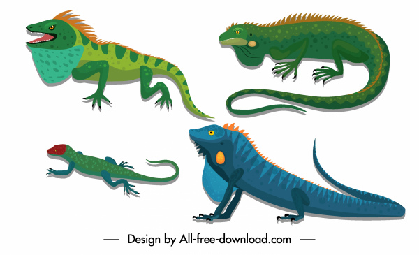 파충류 생물 아이콘 도롱뇽 도마뱀 스케치 다채로운 디자인