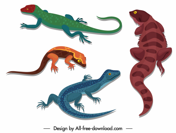 rettili icone gecko salamandra schizzo colorato disegno