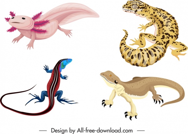 Reptilienarten Ikonen farbiger Gecko Salamander Dinosaurier Skizze