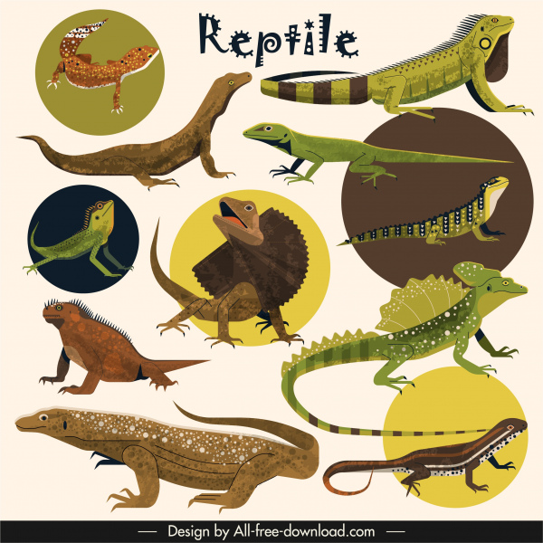 Skizzieren Sie Reptilien Arten Symbole Gecko Salamander Tiere