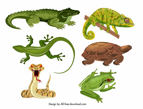 爬行动物图标鳄鱼壁虎龟蛇蛙素描