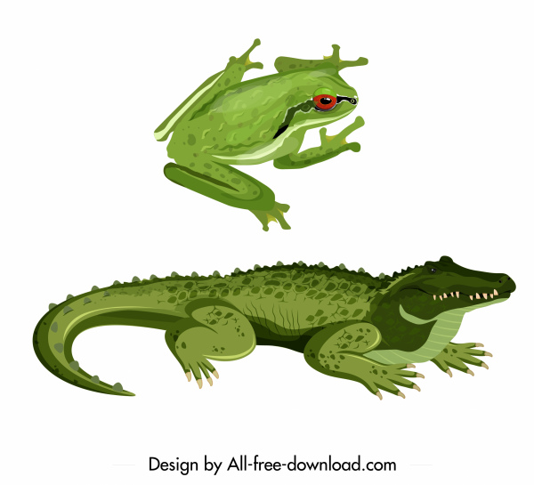 爬行動物物種圖示綠色青蛙鱷魚動物素描