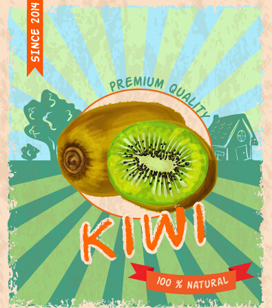 retro grunge kiwi poster vektor