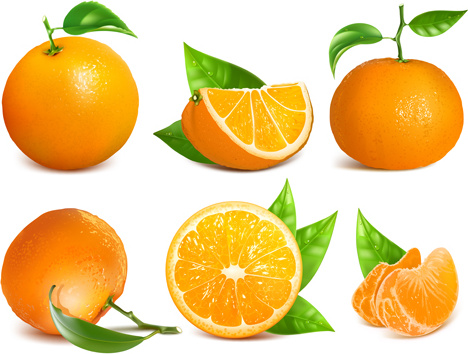 熟したオレンジ、葉のベクトル