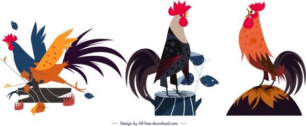 Icone gallo animale colorato cartoon design