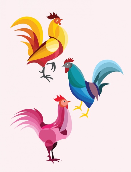 ayam koleksi terisolasi dalam berbagai warna