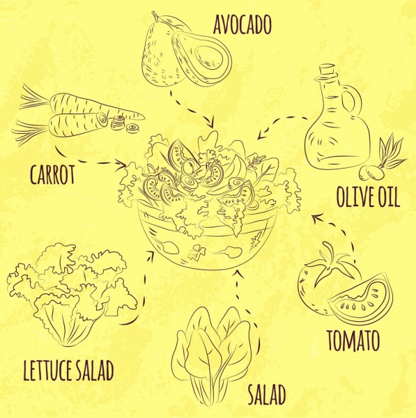 Салат из кухни инфографики ингредиент иконы handdrawn эскиз