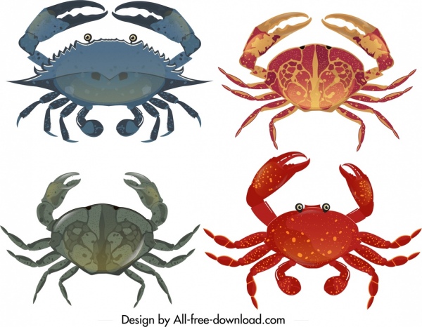 mar caranguejo ícone modelos coloridos design moderno