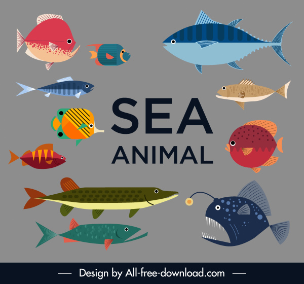 especies de peces de mar iconos colorido bosquejo plano