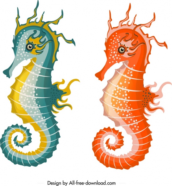 cavalo-marinho ícones maquete design decoração colorida