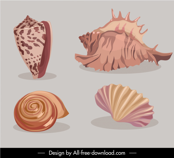 iconos de concha de mar coloreado diseño clásico