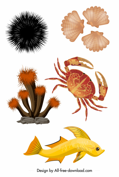 laut spesies ikon berwarna-warni desain modern