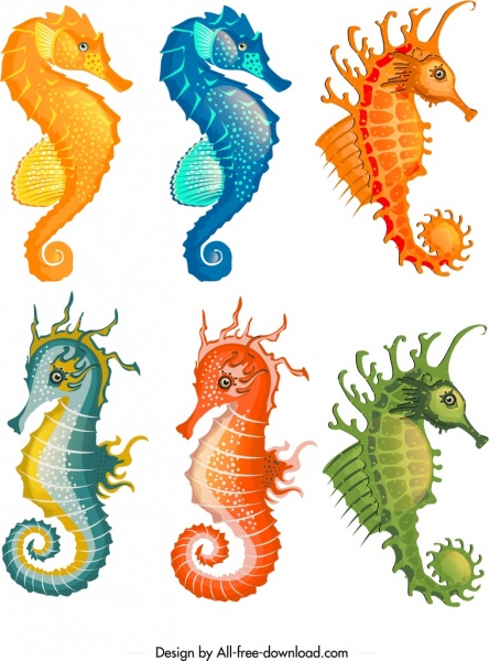 hippocampe icônes collection coloré dessin animé croquis