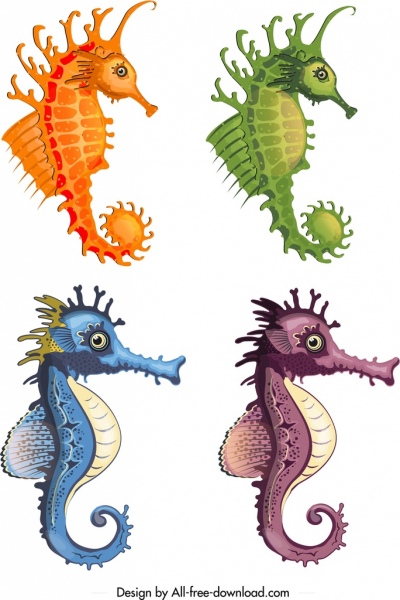 Caballito de mar los iconos plantillas maqueta diseño colorido moderno del bosquejo