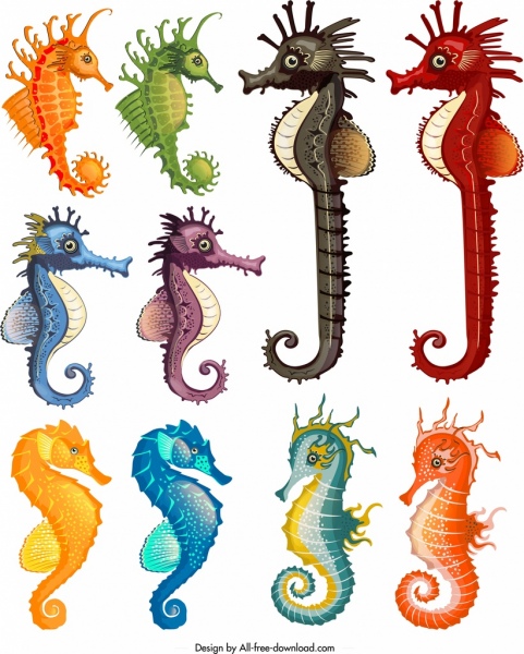 coleção de ícones da espécie de cavalos-marinhos multicolorida cartoon desenho
