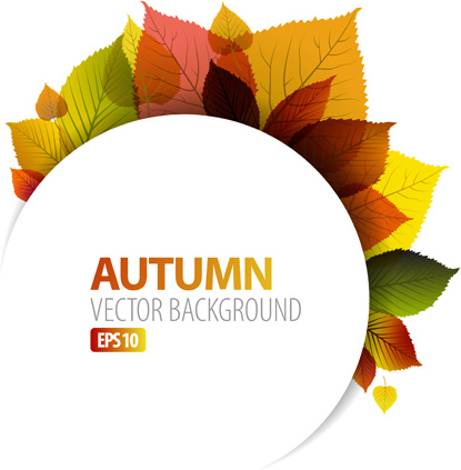 Set de encanto otoño backgrounds vector