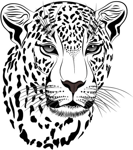 zestaw cheetah wektor obraz sztuki