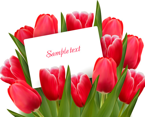 set warna bunga Tulip kartu desain vektor