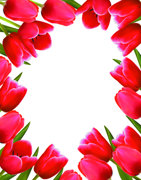 set warna bunga Tulip kartu desain vektor