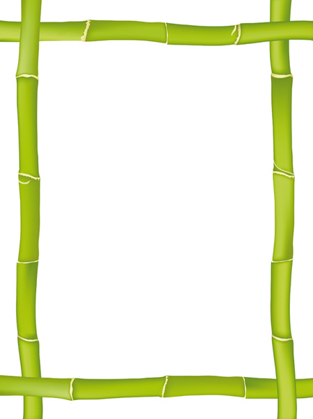 serie di diversi di bambù cornice design vettore
